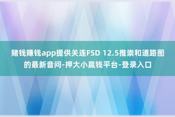 赌钱赚钱app提供关连FSD 12.5推崇和道路图的最新音问-押大小赢钱平台-登录入口